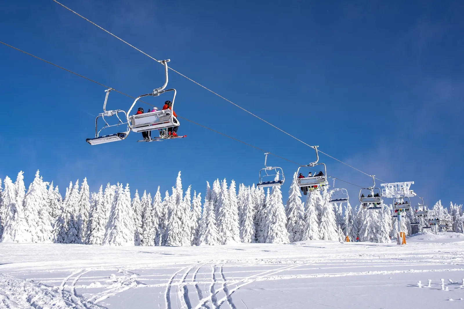 Hakuba Valley for Groups: Ten Ski Resorts, One Valley