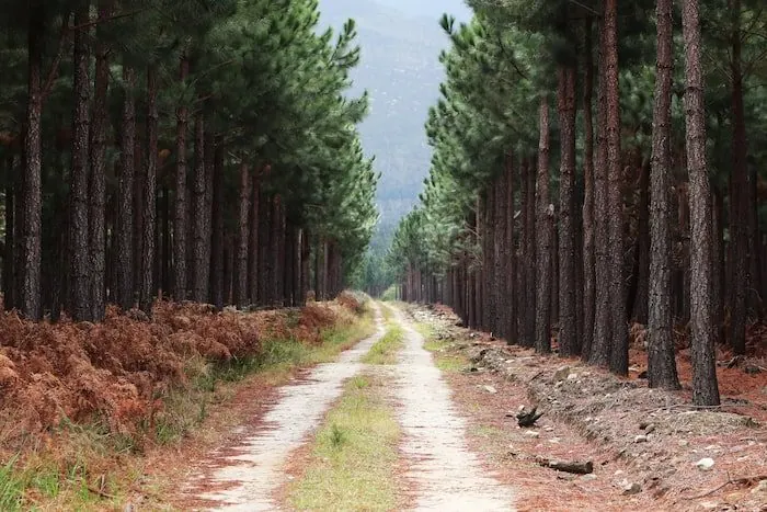 Sacred Journeys: Three Pilgrim Routes by Air and Rail