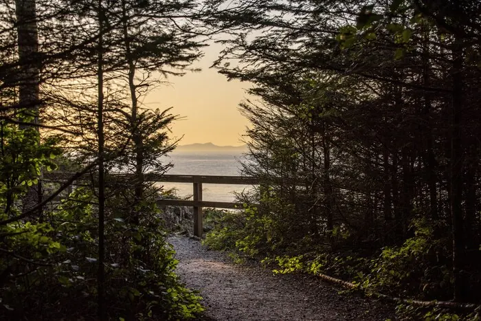 A forest path opening onto the sea: coastal walks work best as short, unhurried stretches between stops.