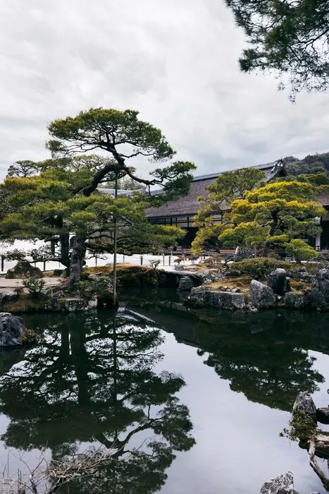 Pines reflected in a still pond: the strolling-garden style that Ritsurin is built around, best walked slowly with a guide.