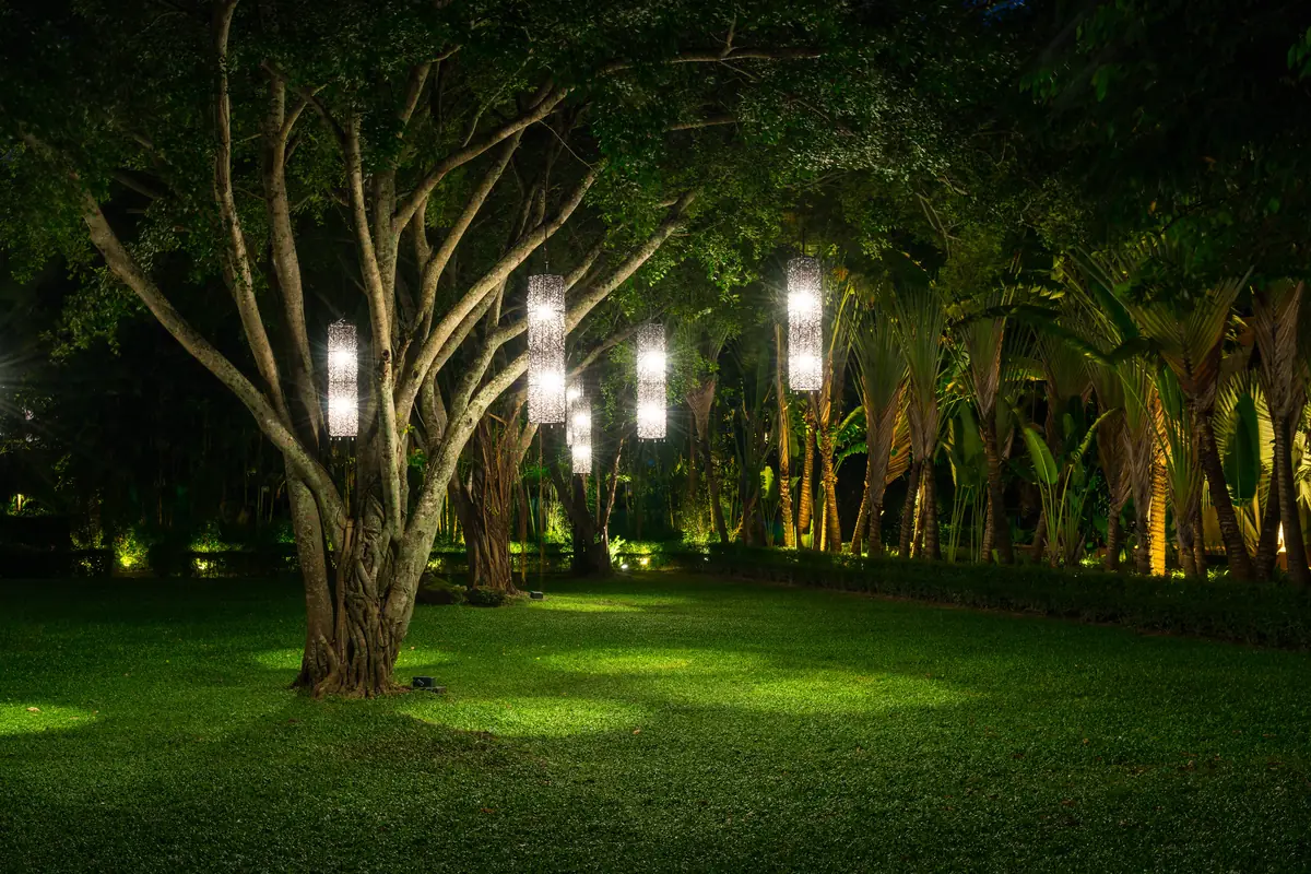 Tall lanterns hang from the trees of a garden after dark.