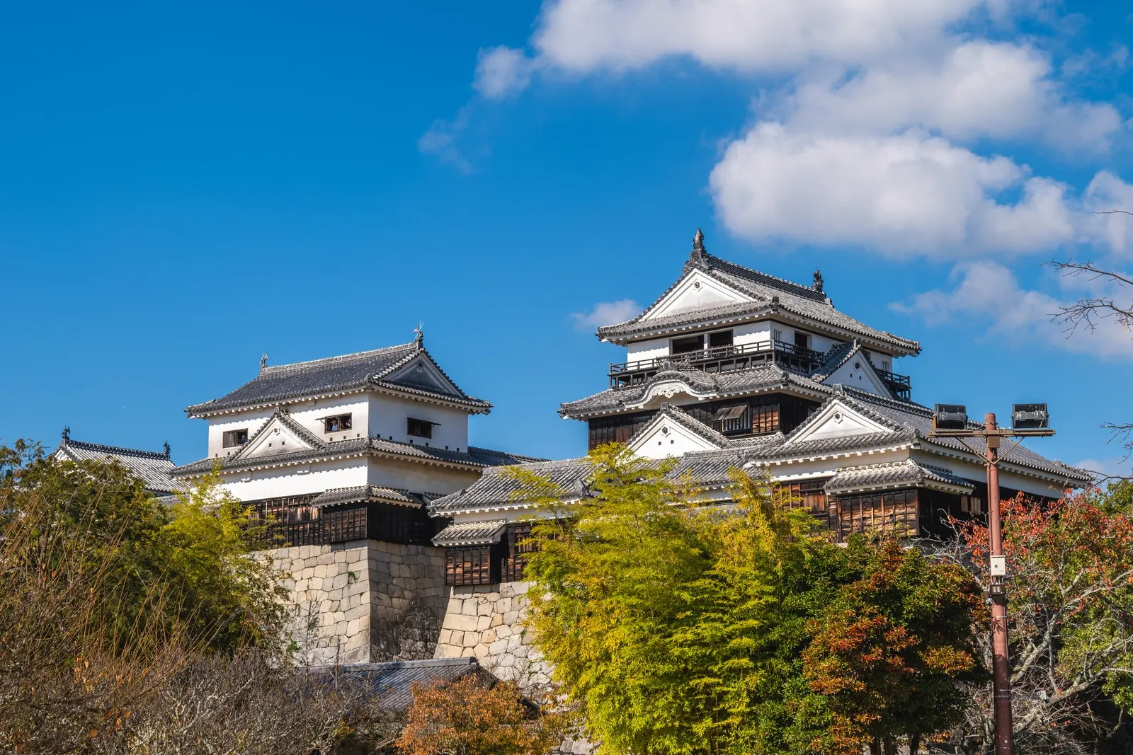 A castle keep among trees on its hilltop: Matsuyama Castle is one of Japan's twelve castles with an original keep.