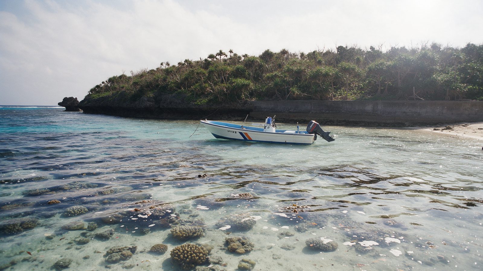Okinawa's water is the reason clients book, and the season runs longer than most expect.