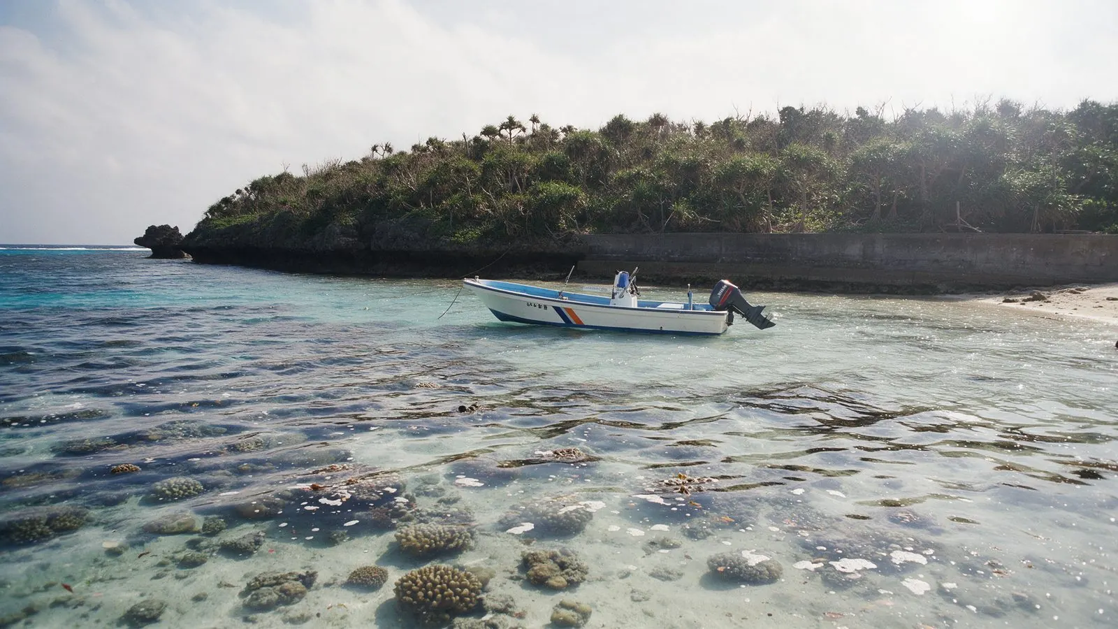 Okinawa's water is the reason clients book, and the season runs longer than most expect.