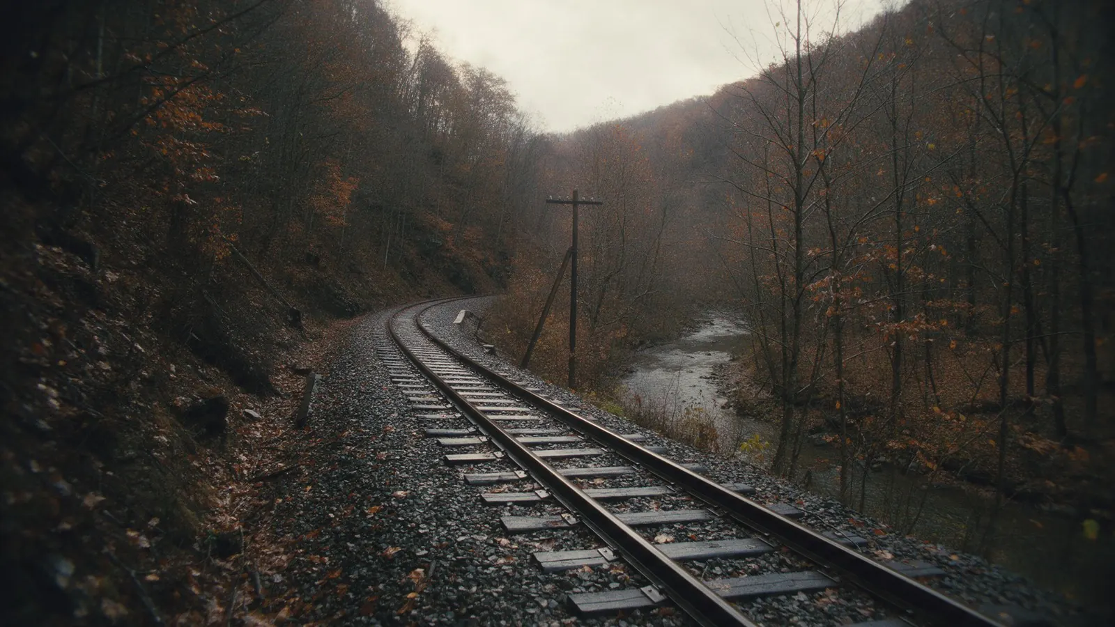 An empty single-track line through a wooded valley in late autumn.