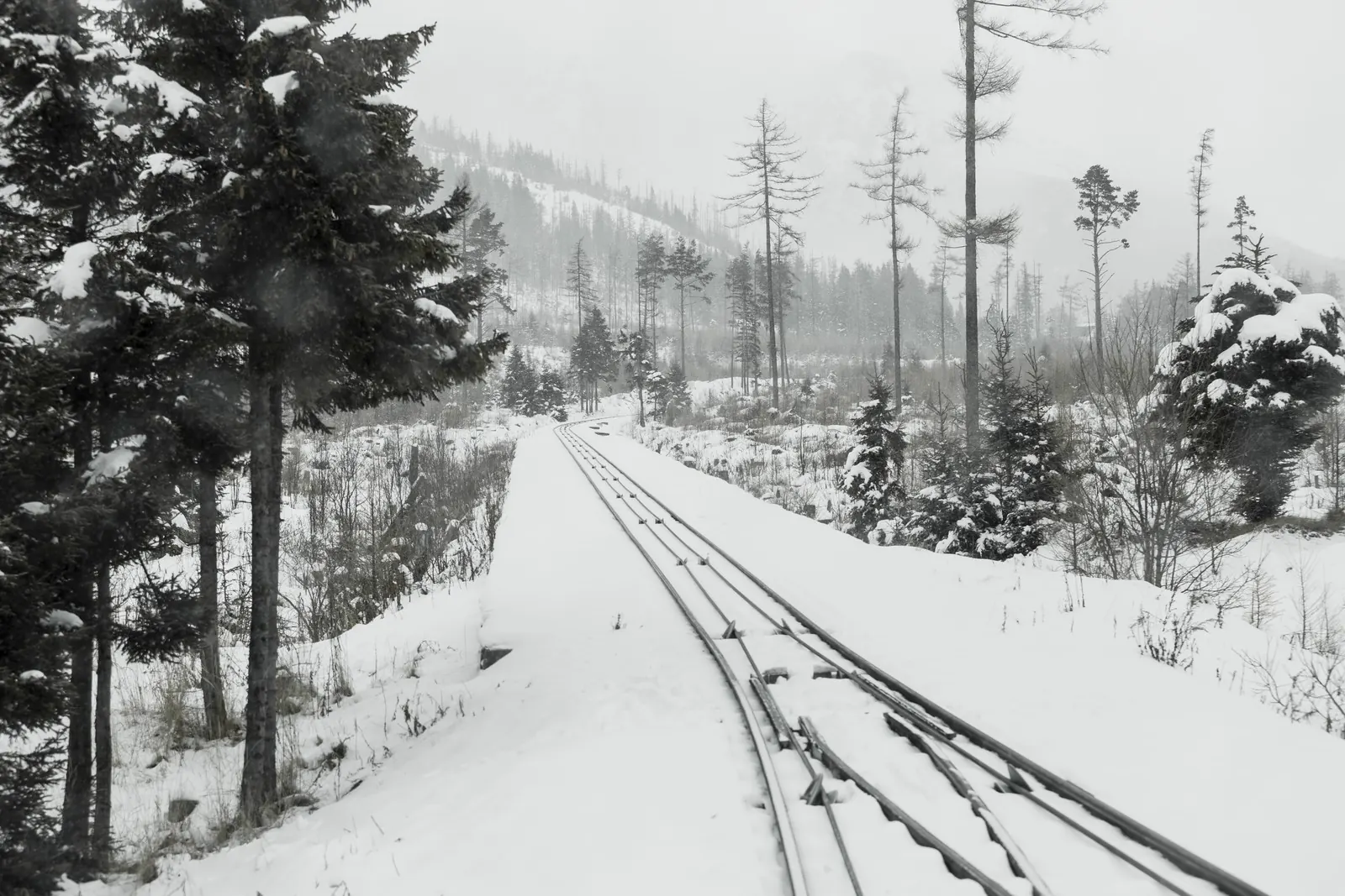 A railway line runs through a snowy evergreen forest.