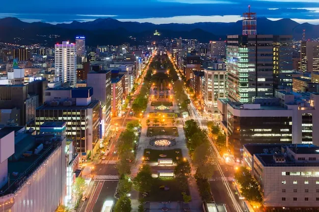 Sapporo's Odori Park at dusk from above: an evening game can follow a day in the city.