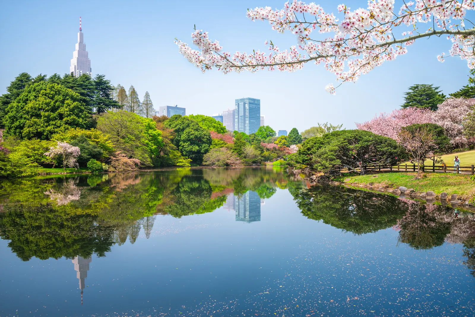 Nohga Hotel Shinjuku Gyoen: 72 Garden-View Rooms in 2027