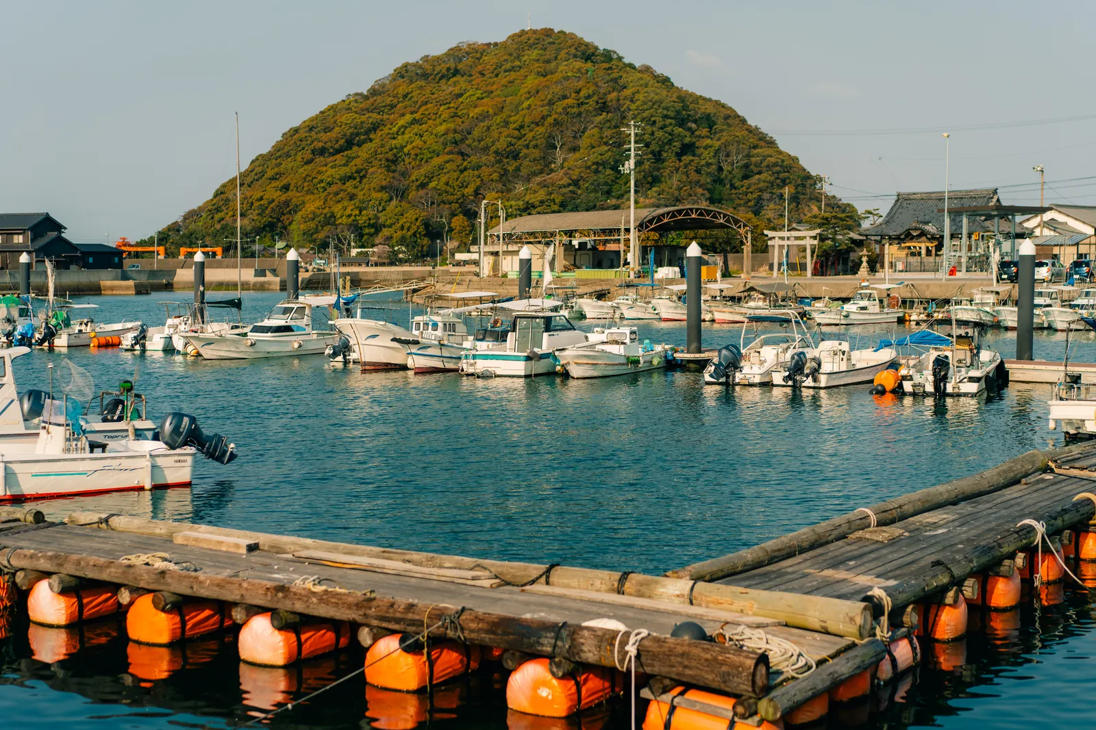 Small boats moored in a harbour below a wooded hill.