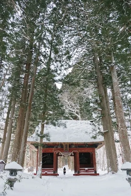 A shrine gate in snow among tall cedars at Togakushi.