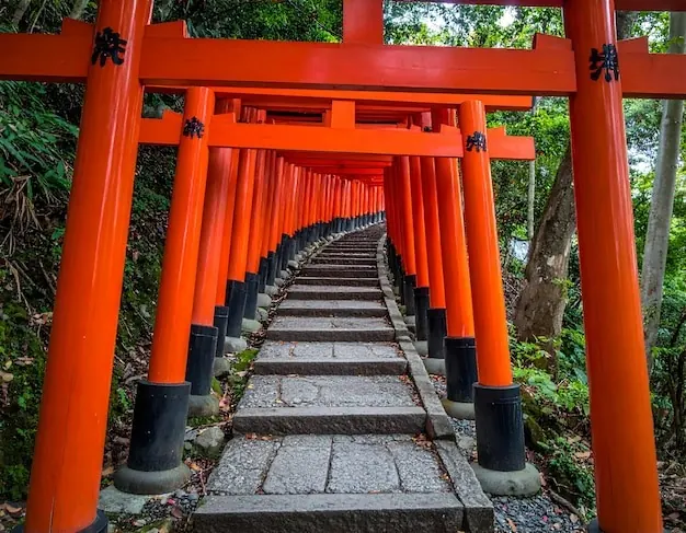 A tunnel of red torii gates climbing stone steps through a forest.