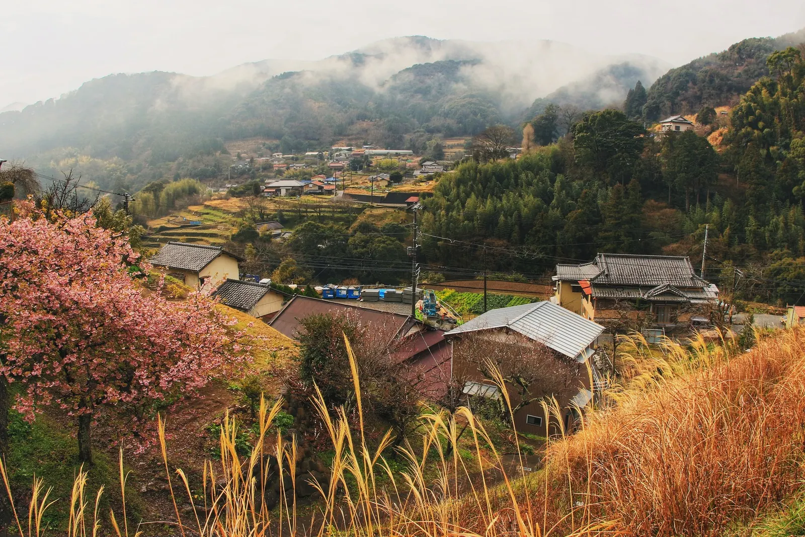Village houses below misty wooded hills.