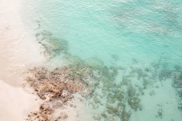 Coral close to a white-sand shore: in many places the reef starts within wading distance.